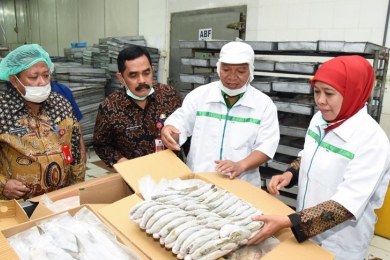Tindak Lanjut Anjloknya Harga Ikan di Pasar Gubernur Khofifah Kunjungi Industri Bandeng